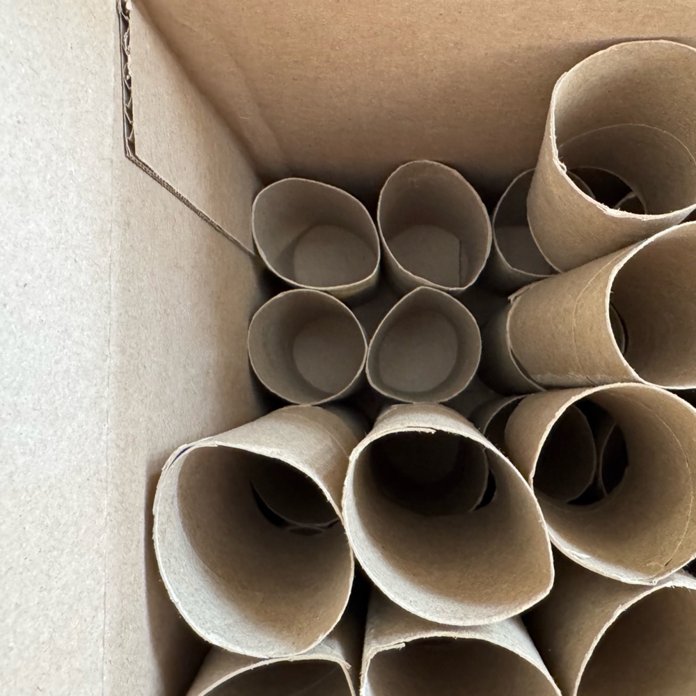 161 empty toilet paper rolls - Picture 2 of 2